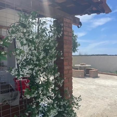 Diarla's 2 * 피에르