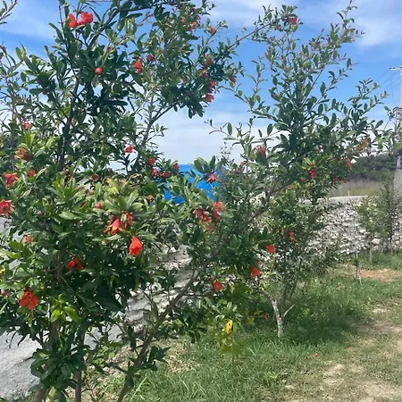 בית נופש Diarla's 2 פייר