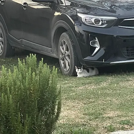 בית נופש Diarla's 2 פייר