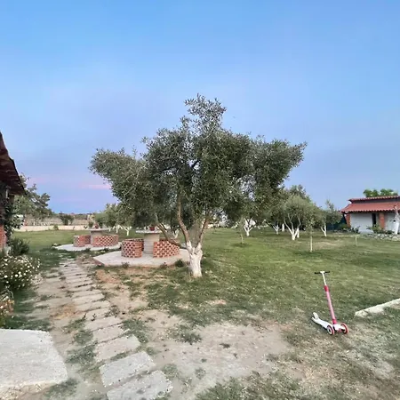 Diarla's 2 * 피에르