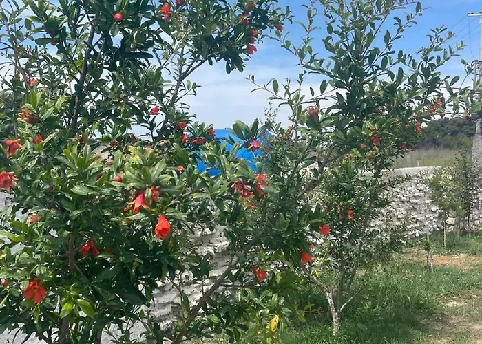 度假居 Diarla's 2 费里