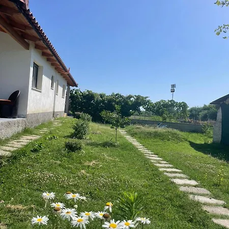 Villa Diarla's Fier
