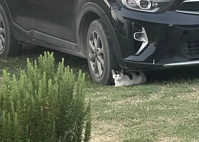 Holiday home Diarla's 2 Fier